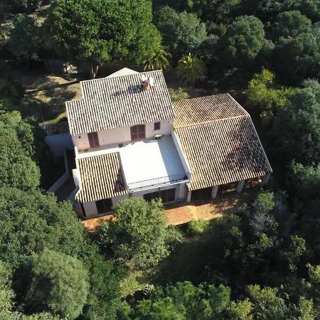 Villa Villa Pieds Dans L'Eau, Casa D'Omigna, Corse Du Sud, Cargese, Cargèse