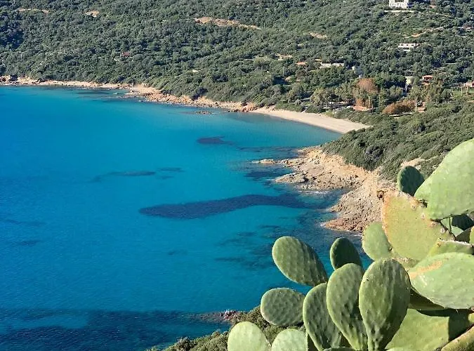 Villa Pieds Dans L'Eau, Casa D'Omigna, Corse Du Sud, Cargese, Villa