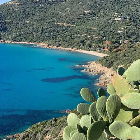 Villa Pieds Dans L'Eau, Casa D'Omigna, Corse Du Sud, Cargese, Villa
